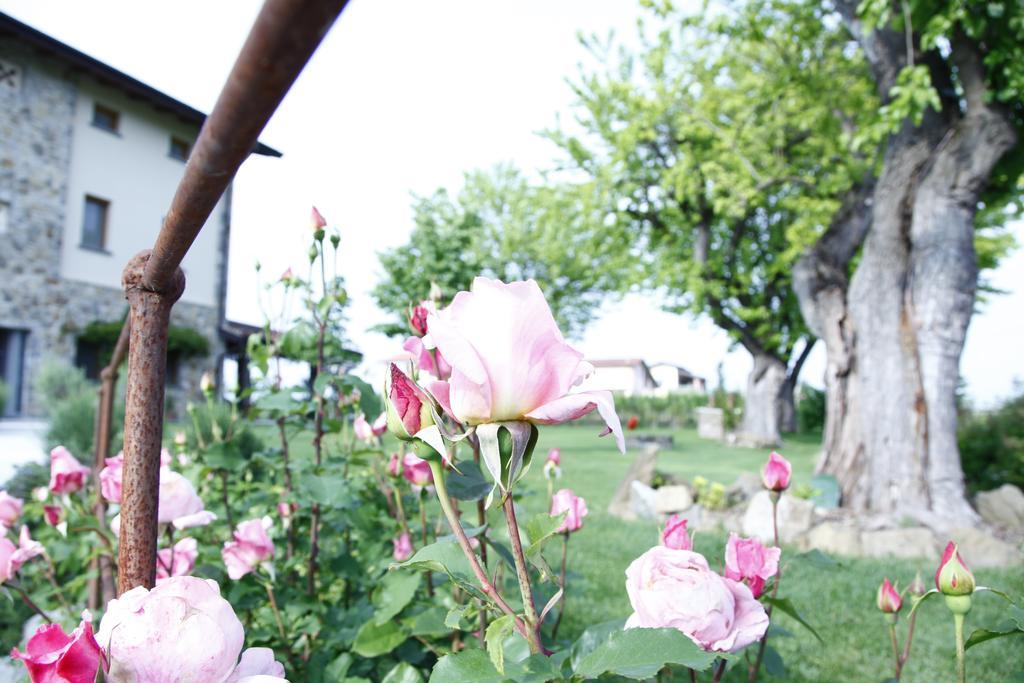 بسكييرا ديل غاردا Massoni Bed And Breakfast المظهر الخارجي الصورة