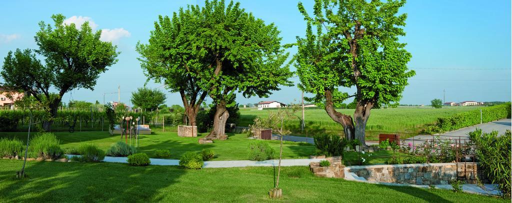 بسكييرا ديل غاردا Massoni Bed And Breakfast المظهر الخارجي الصورة